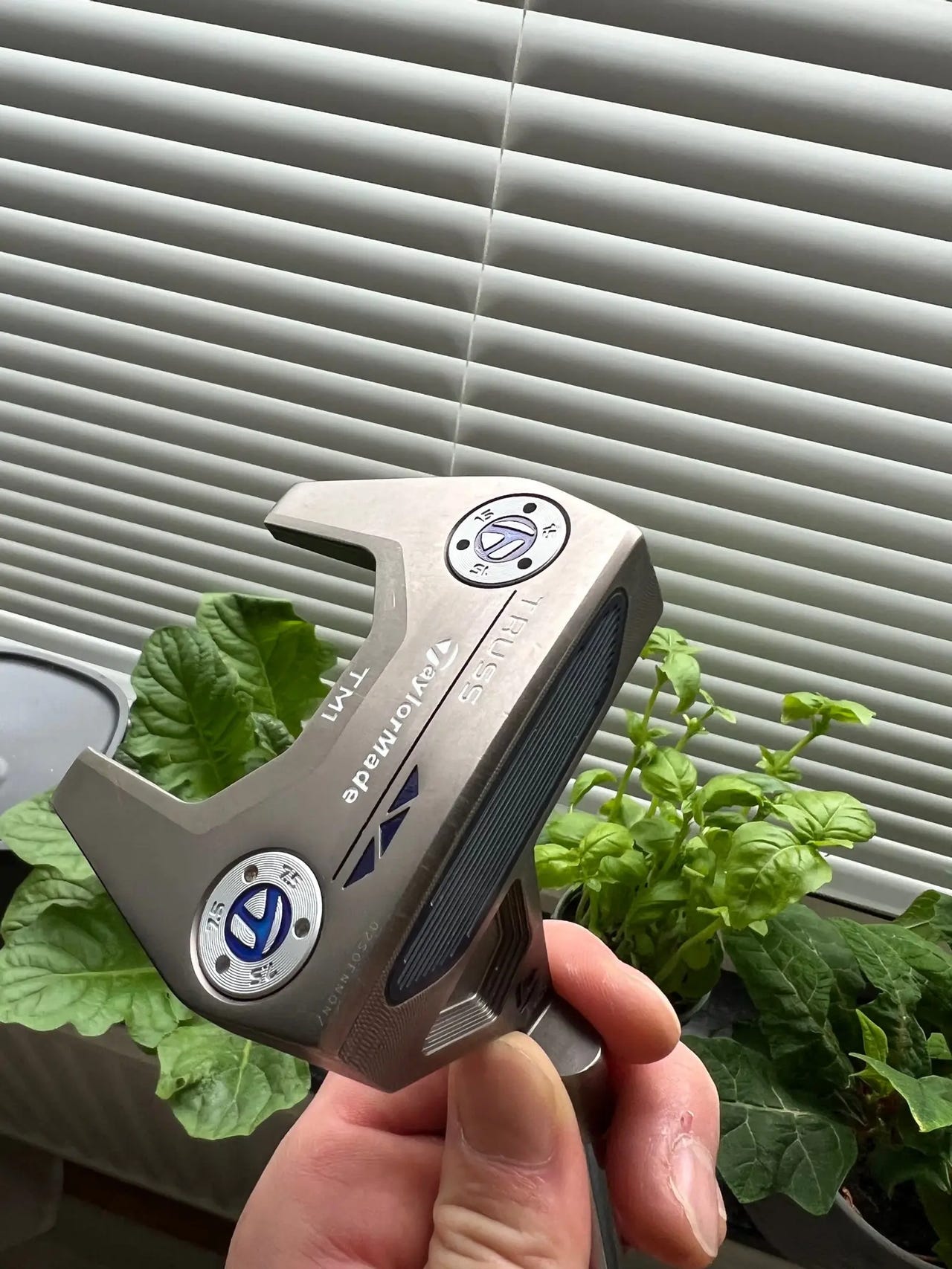 TaylorMade Truss TM1 Putter | Blocket