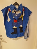 Miniatyrbild