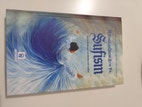 Miniatyrbild