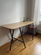 Miniatyrbild