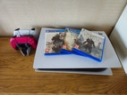 Miniatyrbild