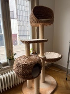 Miniatyrbild