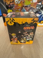 Miniatyrbild