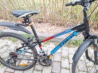 Miniatyrbild