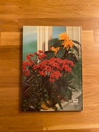 Miniatyrbild