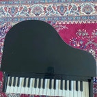 Miniatyrbild