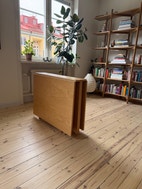 Miniatyrbild