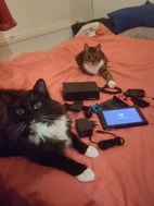 Miniatyrbild