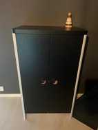 Miniatyrbild