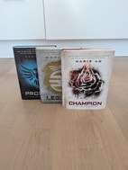 Miniatyrbild