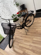 Miniatyrbild