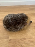 Miniatyrbild