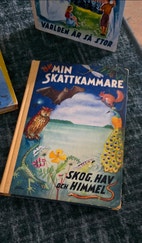 Miniatyrbild