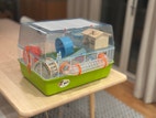 Miniatyrbild