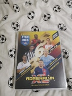 Miniatyrbild