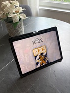 Miniatyrbild