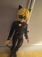 Miniatyrbild