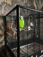 Miniatyrbild