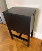 Miniatyrbild