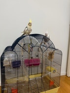 Miniatyrbild