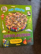 Miniatyrbild