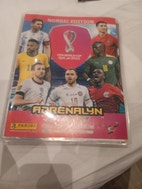 Miniatyrbild