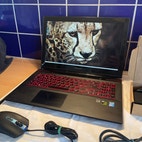 Miniatyrbild