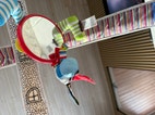 Miniatyrbild