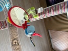 Miniatyrbild
