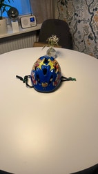 Miniatyrbild