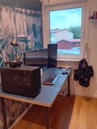 Miniatyrbild