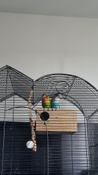 Miniatyrbild