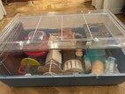 Miniatyrbild