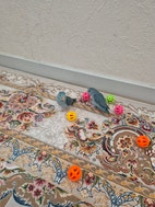 Miniatyrbild