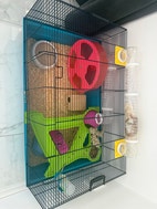 Miniatyrbild