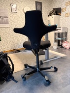 Miniatyrbild