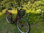 Miniatyrbild