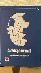 Miniatyrbild