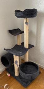 Miniatyrbild
