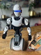 Miniatyrbild
