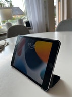 Miniatyrbild