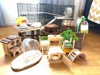 Miniatyrbild