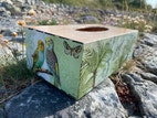 Miniatyrbild