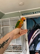 Miniatyrbild