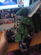 Miniatyrbild