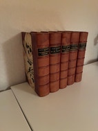 Miniatyrbild