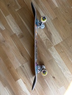 Miniatyrbild