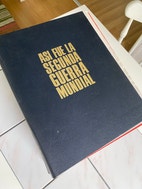Miniatyrbild