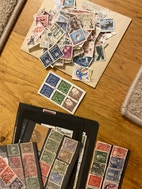 Miniatyrbild