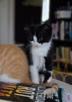 Miniatyrbild